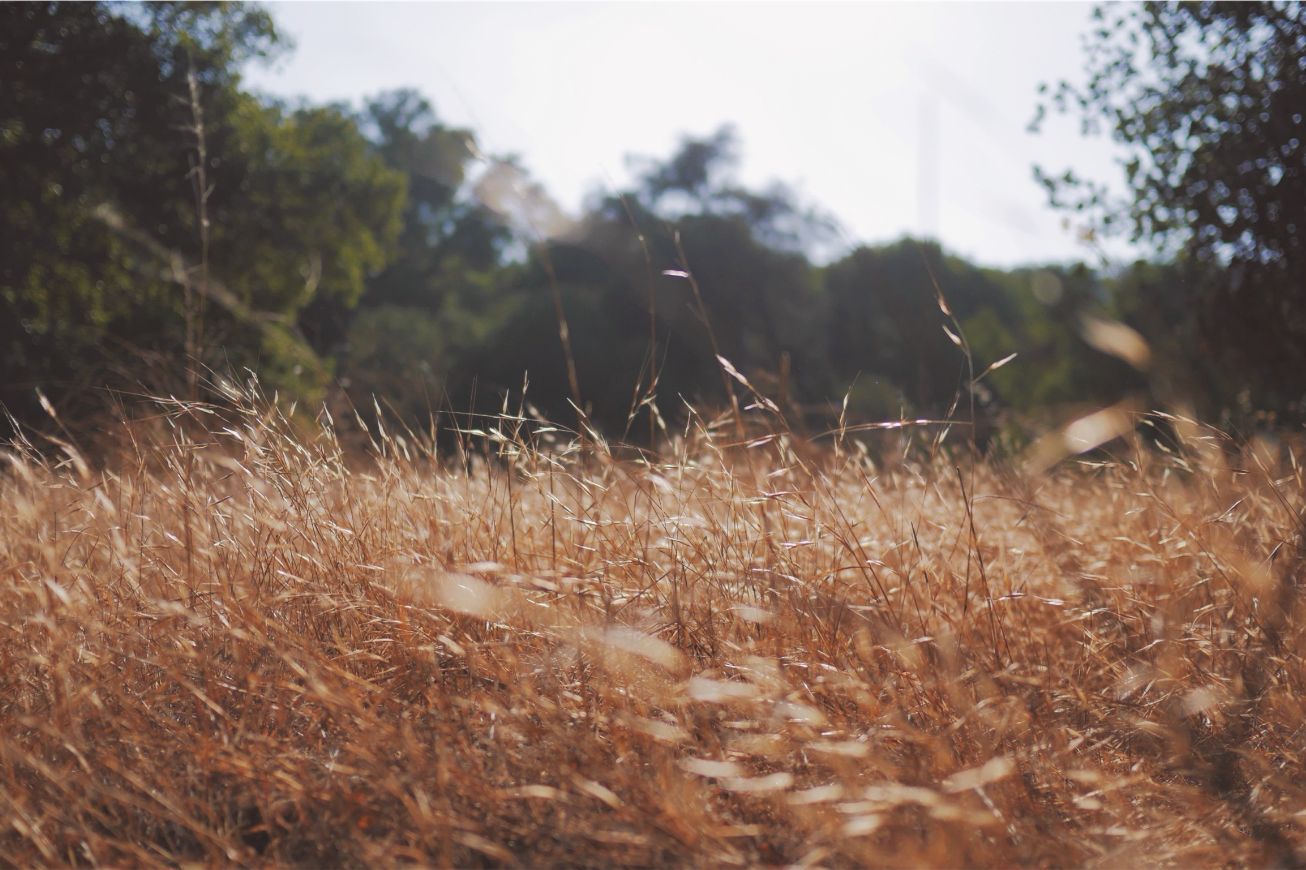 Placeat recusandae labore