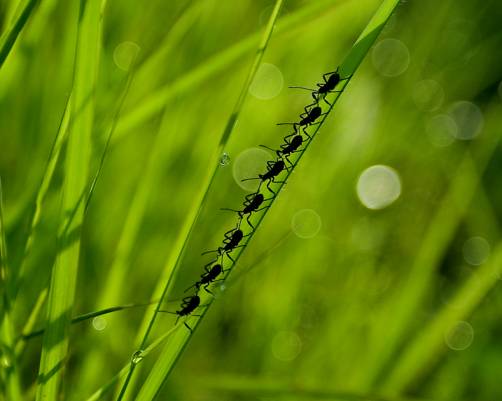 Aut est explicabo quas placeat quia excepturi doloribus